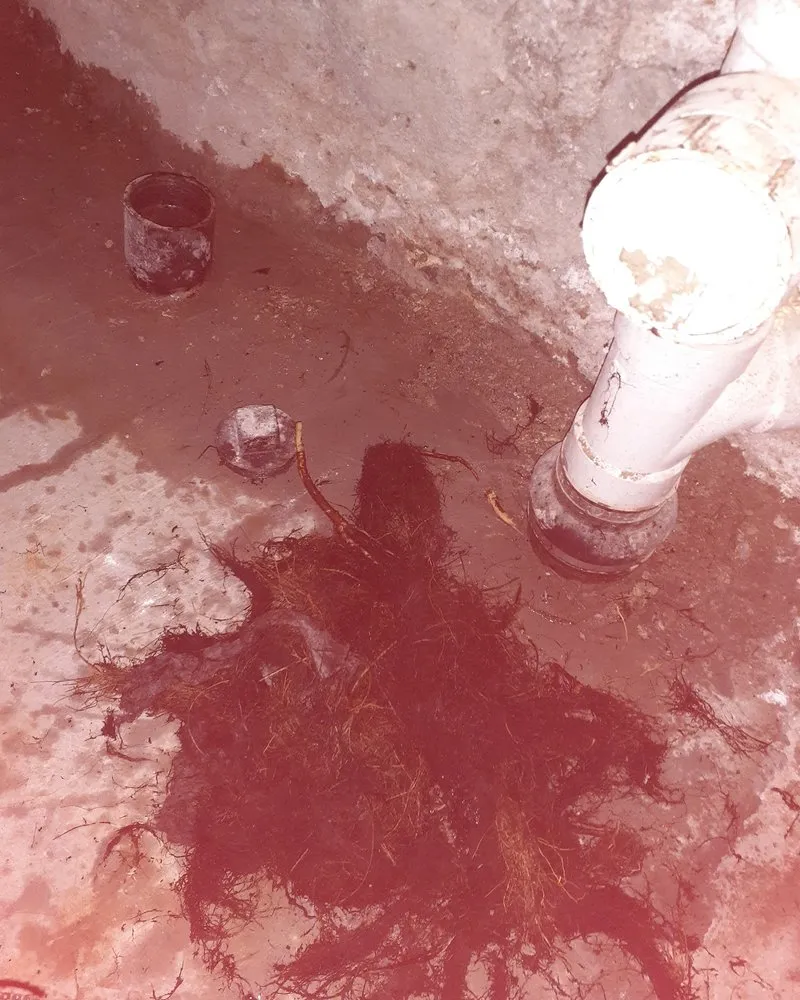 Slide of AAAce Drain Cleaning