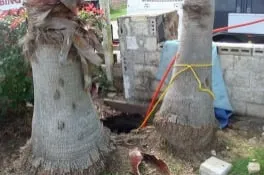 Slide of AAAction Plumbing