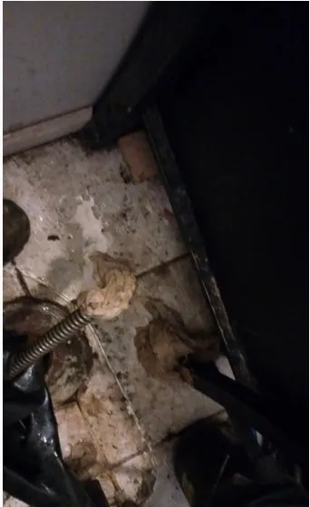 Expert leak detection service in West Friendship, MD - AAB Drain Cleaning