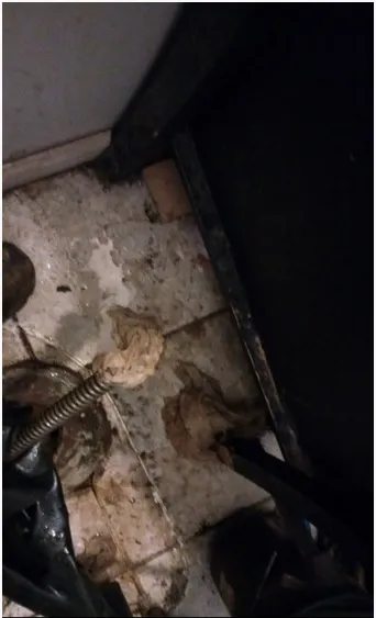 Expert plumbing repair service in West Friendship, MD - AAB Drain Cleaning