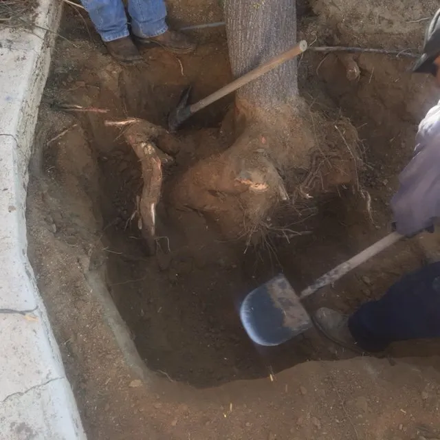 Slide of AAM Plumbing Services