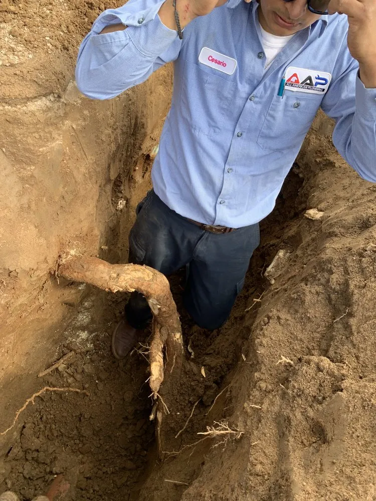 Slide of AAP All American Plumbing