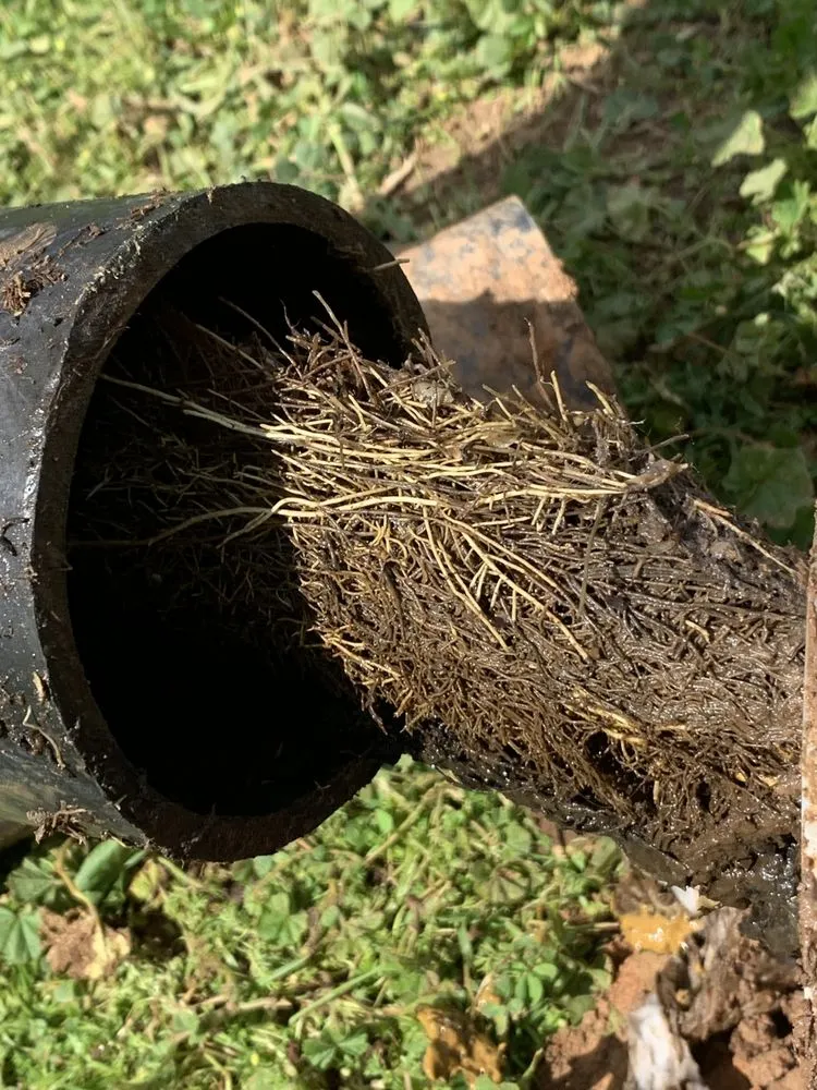 Slide of AAP Home Services