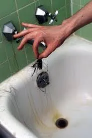 Professional pipe repair experts serving Baldwin, NY - Aardvark Plumbing Heating HVAC