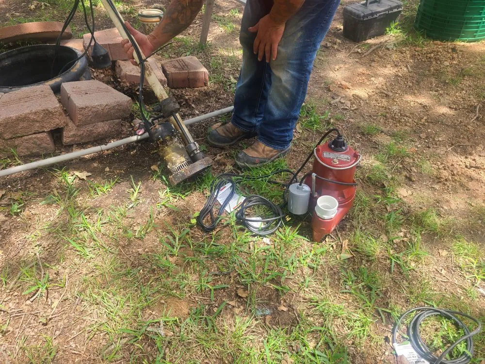 Slide of Aardvark Pumping