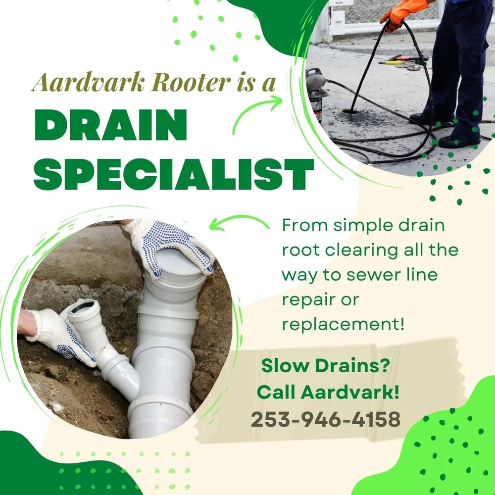 Slide of Aardvark Rooter