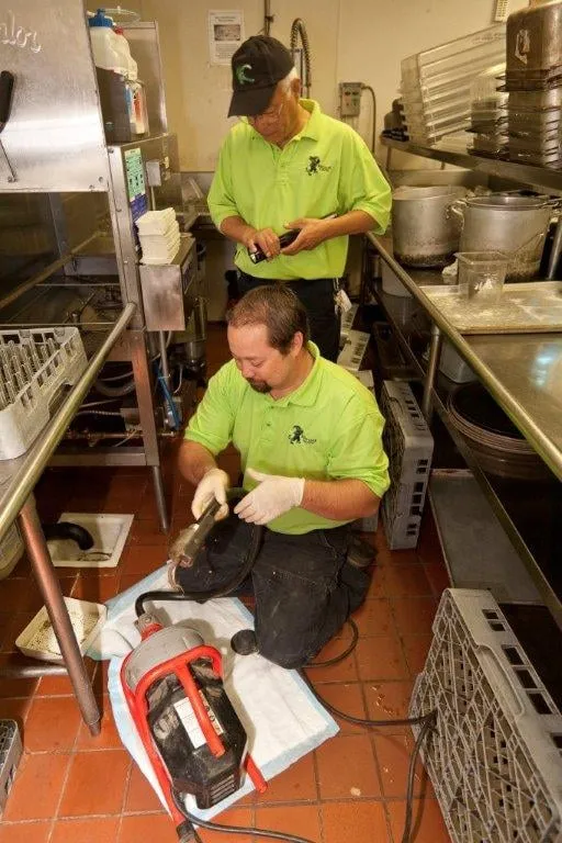 Slide of Aardvark Rooter