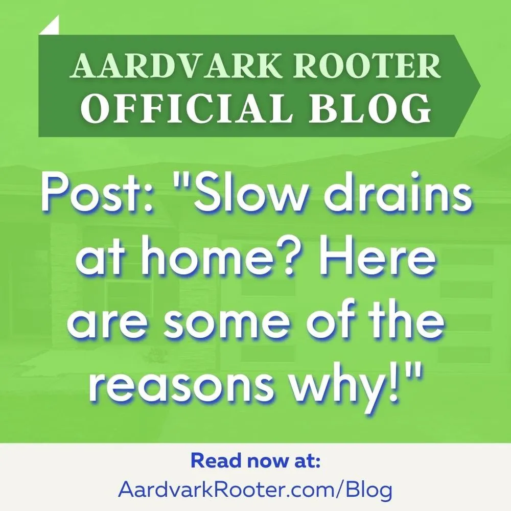 Slide of Aardvark Rooter