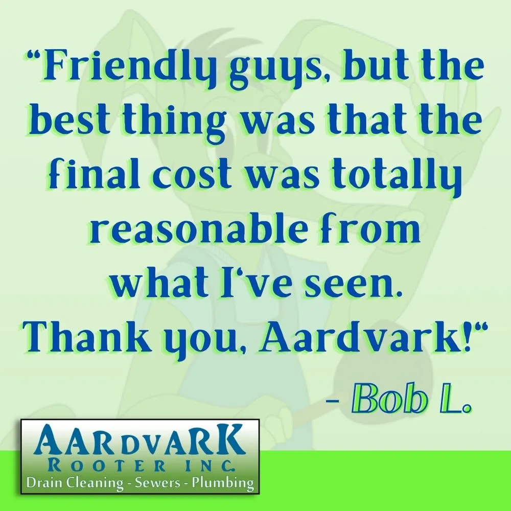 Slide of Aardvark Rooter