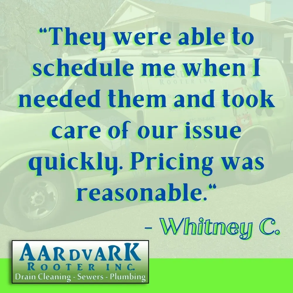 Slide of Aardvark Rooter