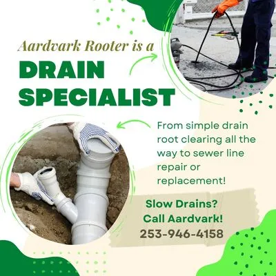 Aardvark Rooter Logo