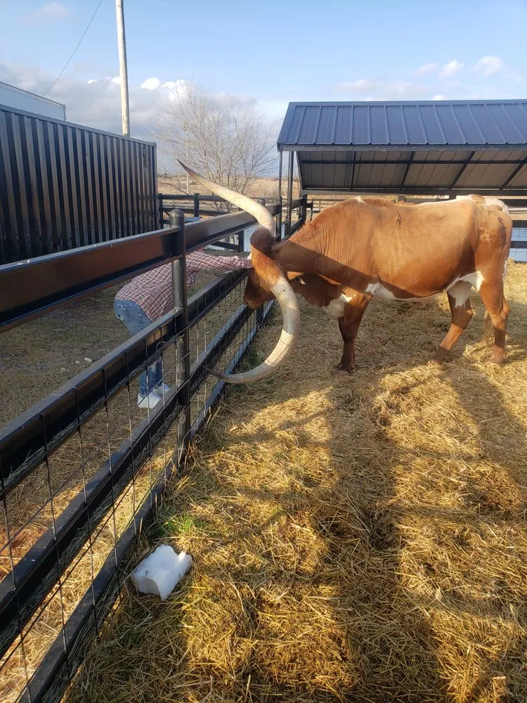 Slide of Aaron Services