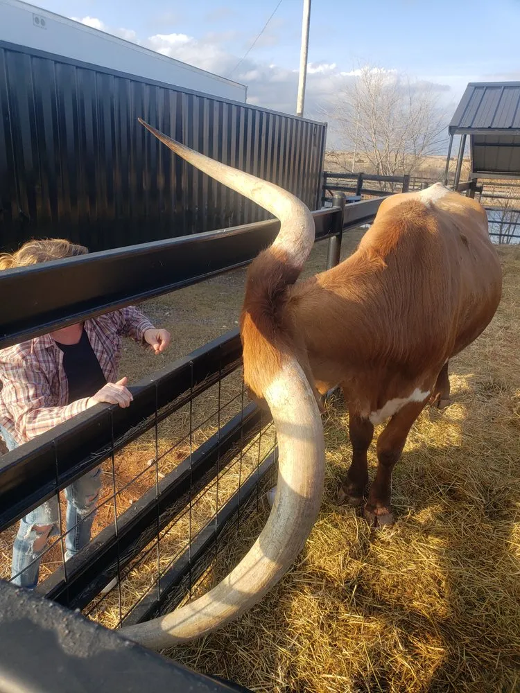 Slide of Aaron Services