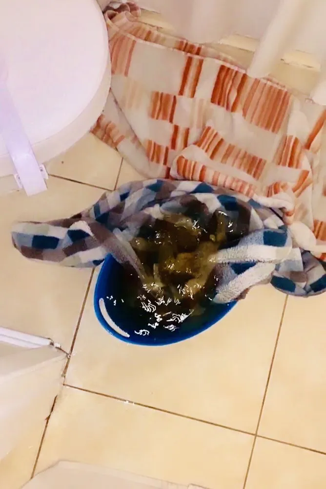 Trusted plumbing repair service in Santa Ana, CA - Aaron's Plumbing and Home Repair