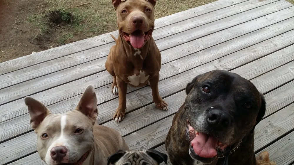 Emergency emergency plumbing for homes in Santa Ana, CA by Aaron's Plumbing and Home Repair