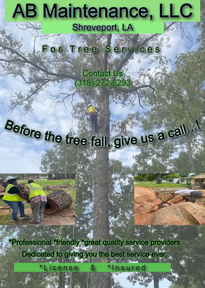 Slide of AB Maintenance