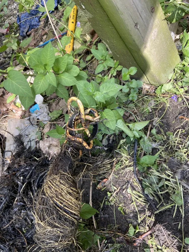 Slide of Abarca Sewer and Drain Service