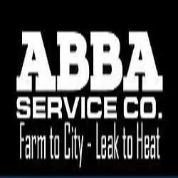 Slide of Abba Service