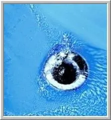 Slide of Abbott's Plumbing