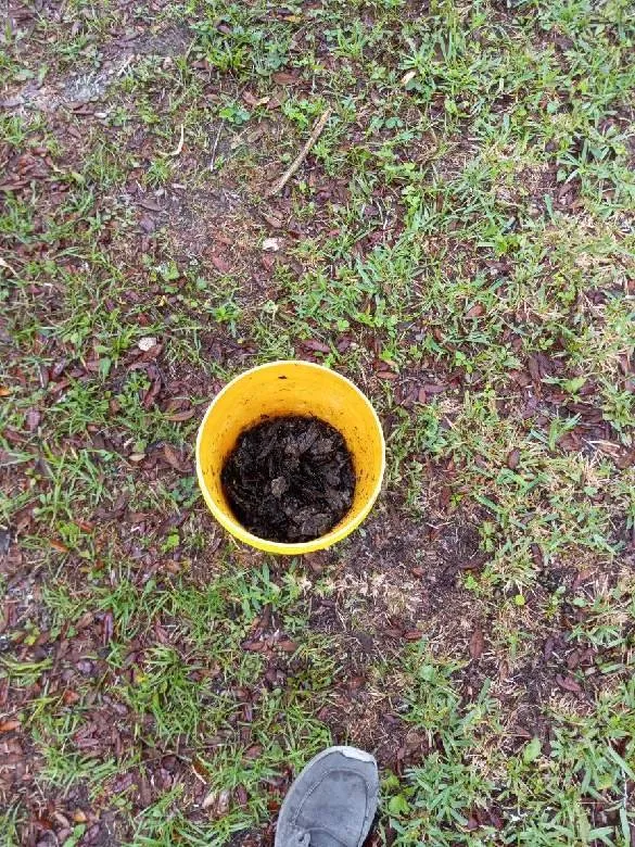 Slide of ABC and Sons Solutions