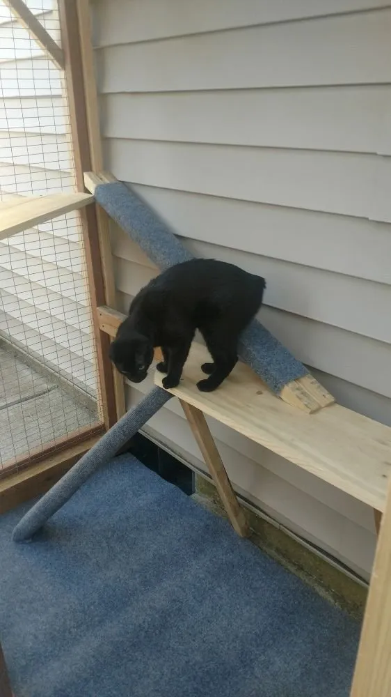 Slide of ABC Handyman