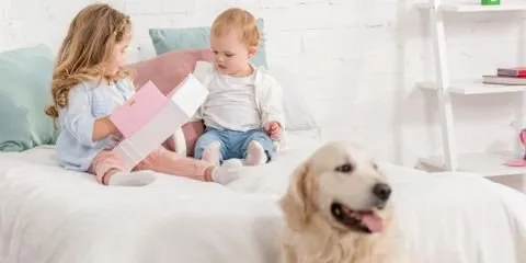 Slide of ABC Heating Cooling & Plumbing