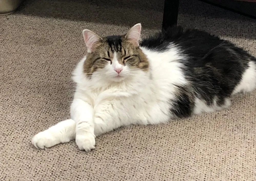 Slide of ABC Plumbing