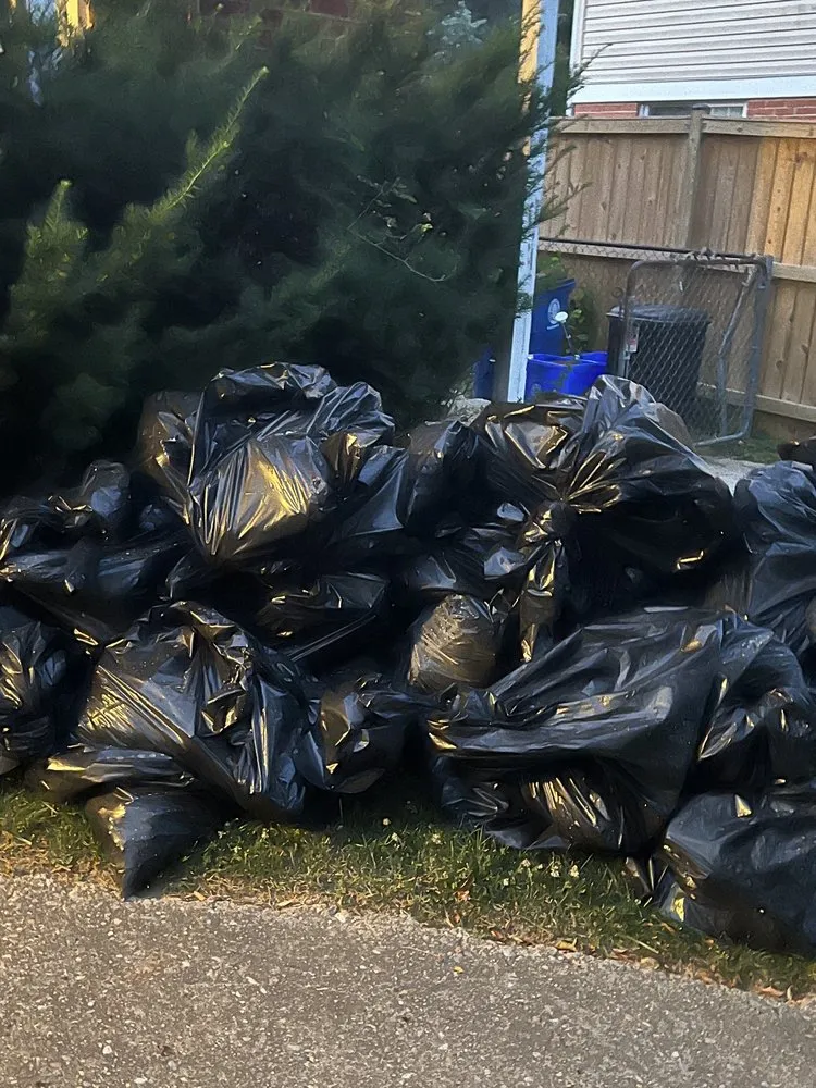 Slide of Abe Services