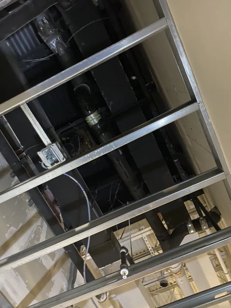 Slide of Abel To Plumb