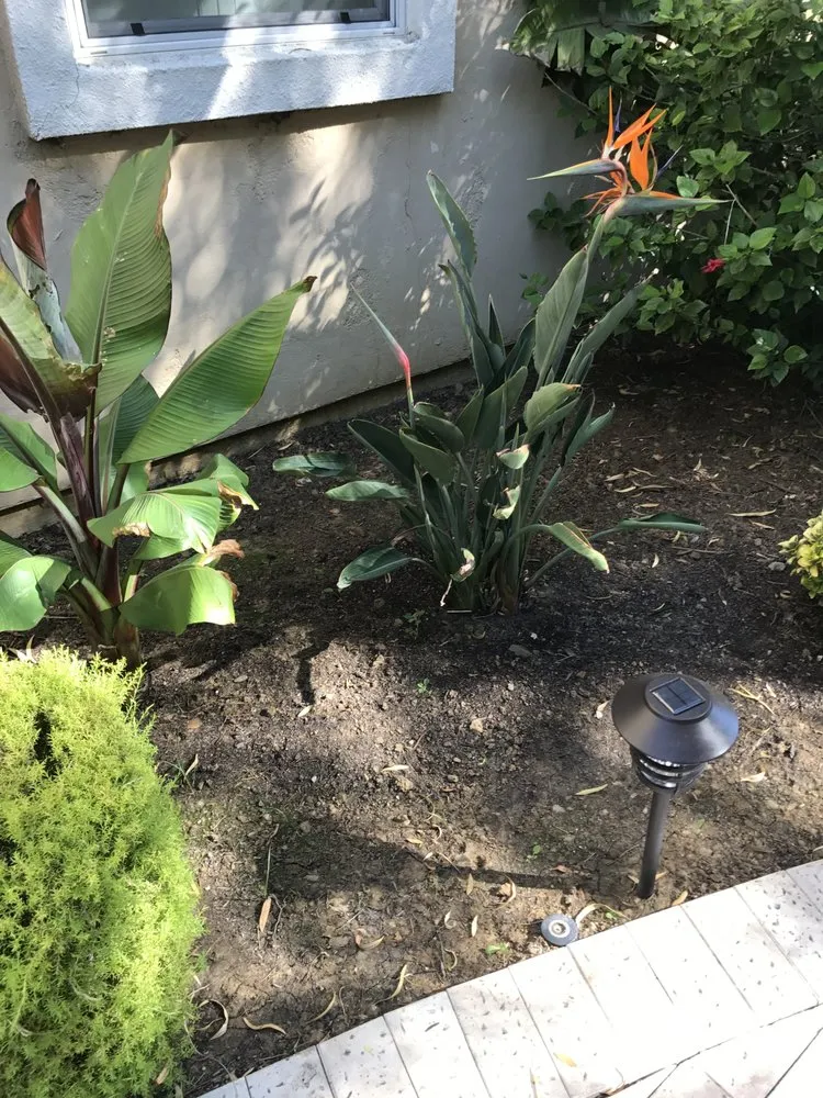 Slide of Abel's Yard Services