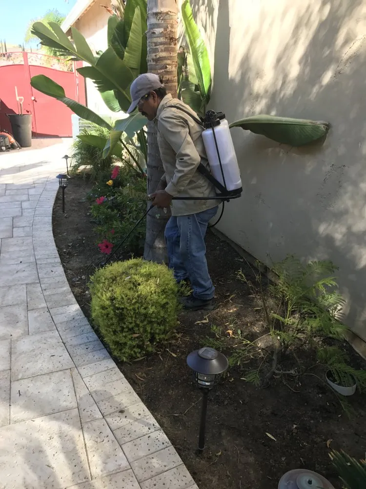 Slide of Abel's Yard Services