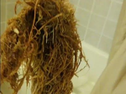 Slide of Abe's Plumbing