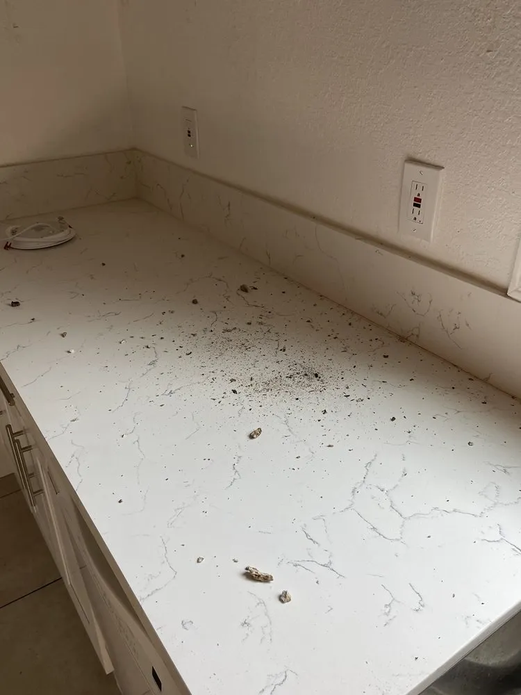 Slide of Abe's Plumbing