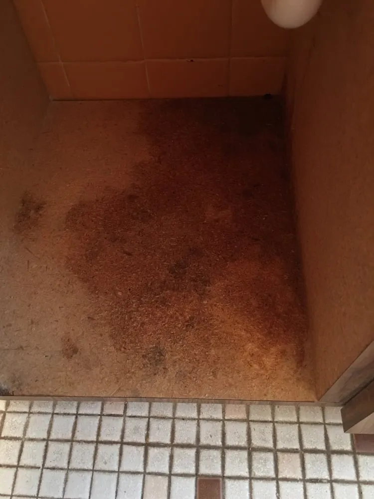 Slide of Able & Willing Plumbing & Sewer