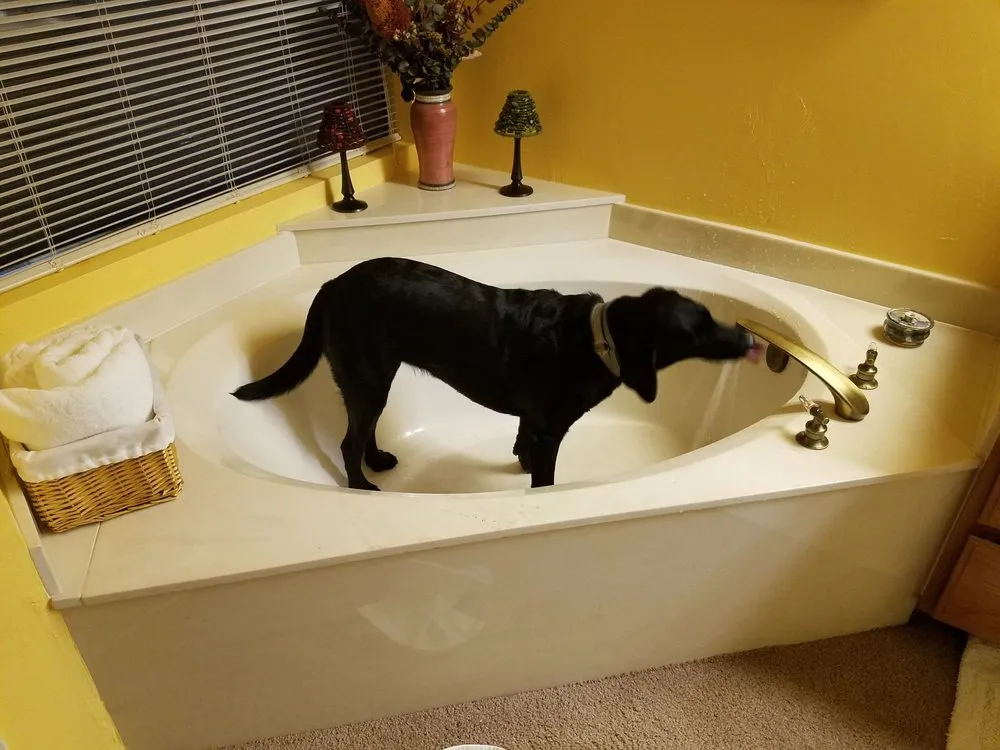 Slide of Able Plumbing & Drain Service