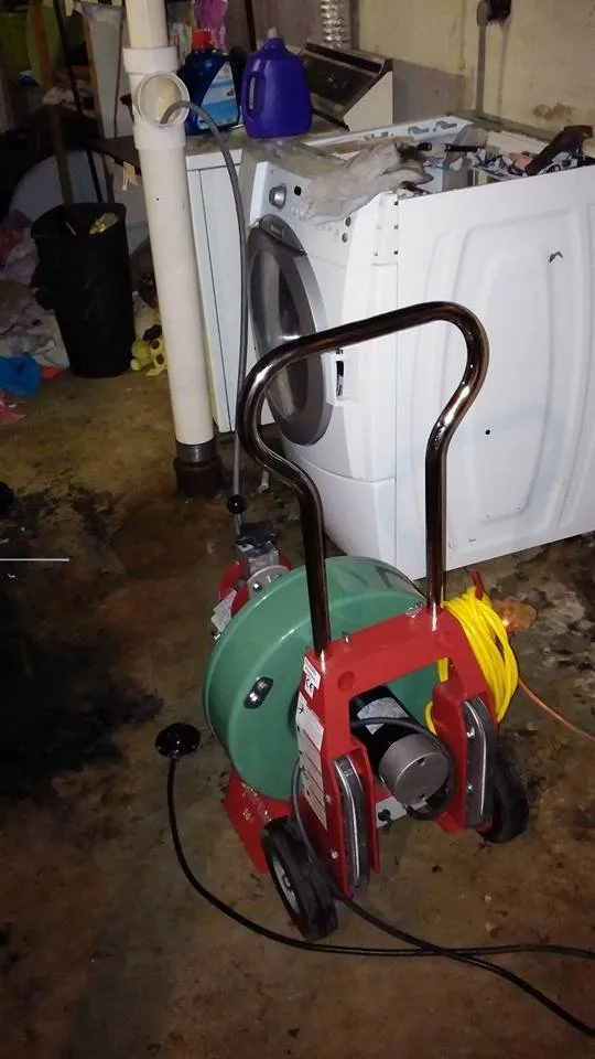 Slide of Able Rooter