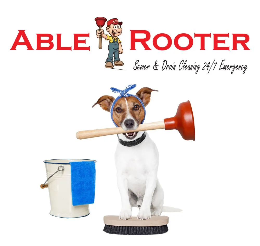 Slide of Able Rooter
