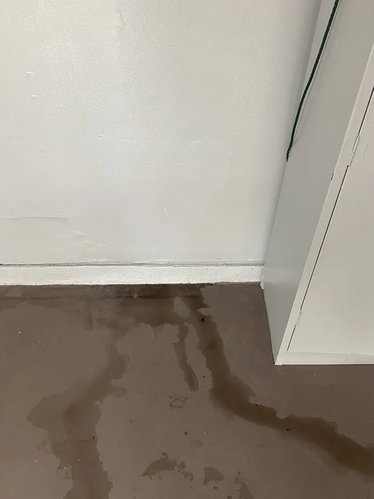 Affordable drain cleaning experts serving Belle Isle, FL - Above & Beyond Leak Detection