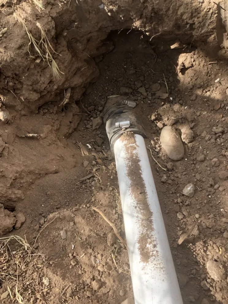 Slide of Above All Quality