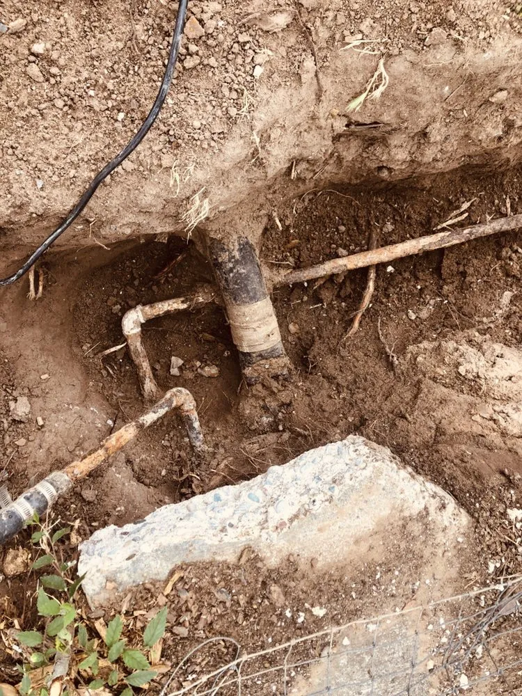 Slide of Above All Quality