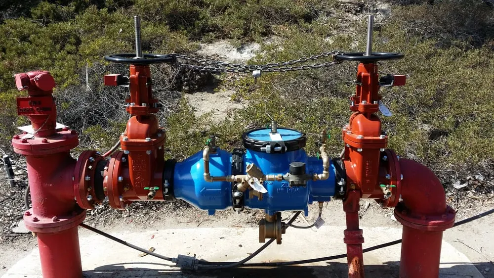 Slide of ABP Backflow