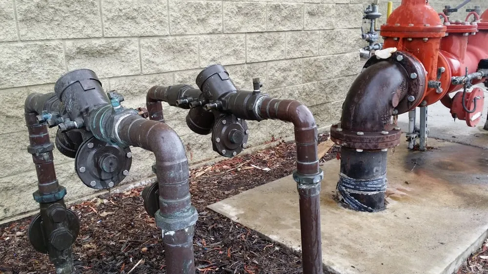 Slide of ABP Backflow