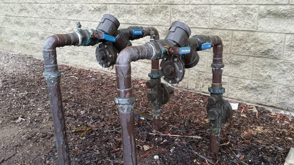 Slide of ABP Backflow