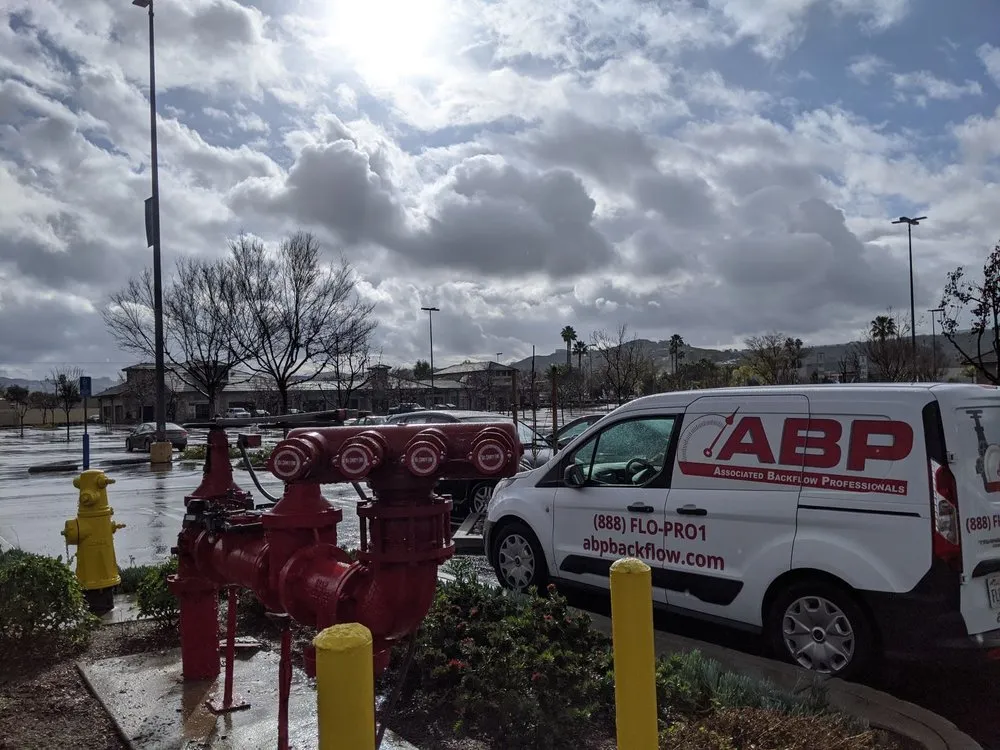 Slide of ABP Backflow