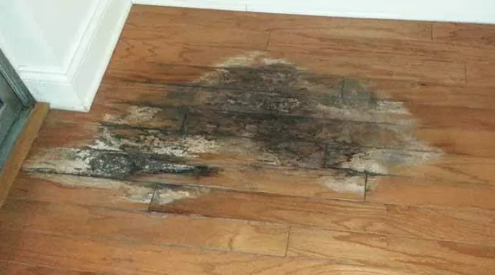 Slide of Abra Leak Detection