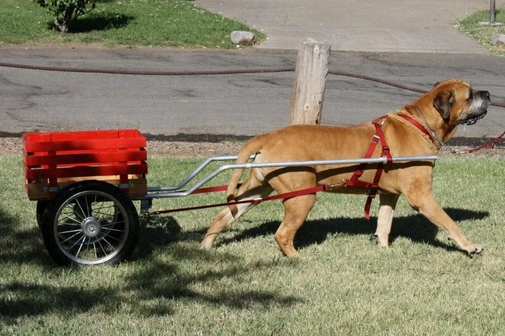 Slide of Absolute Best Service Plumbing