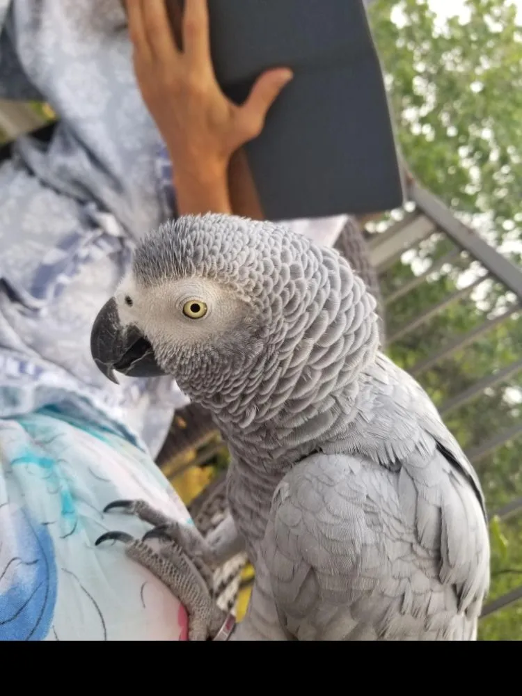 Slide of Absolute Plumbing