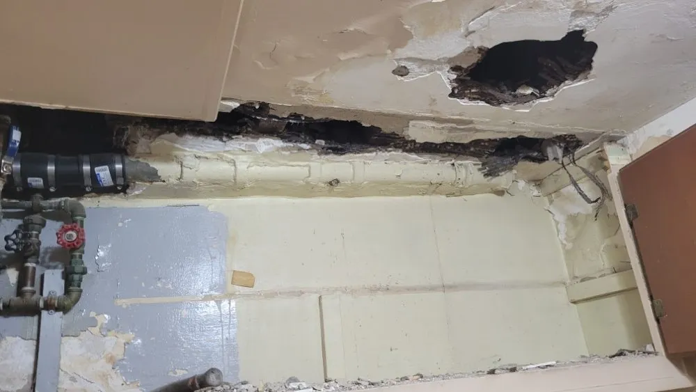 Slide of Absolute Plumbing