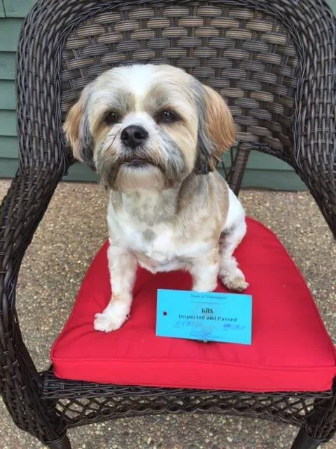 Slide of Absolute Precision