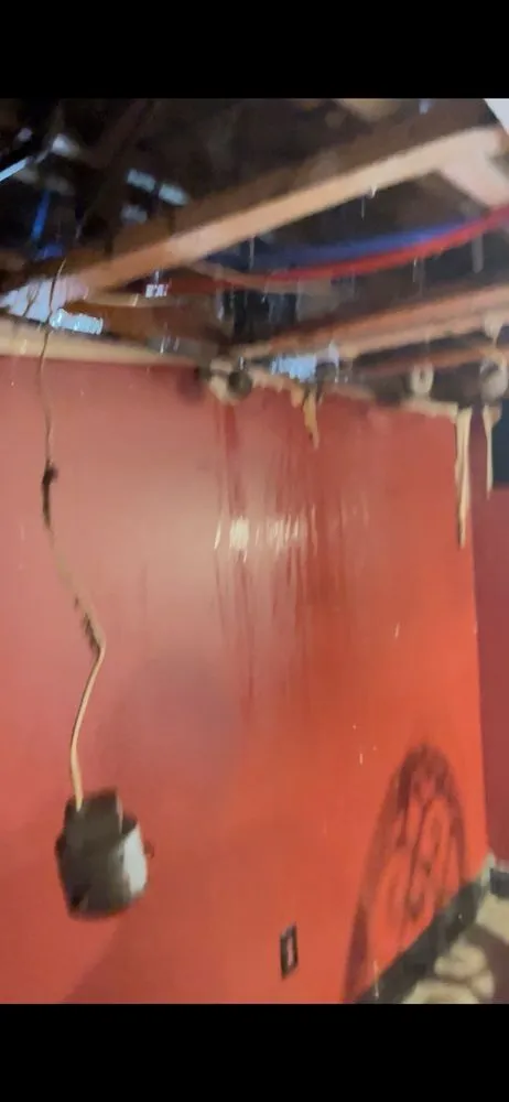 Slide of Absolute Services